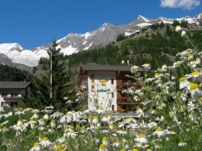 Отель Hotel Adler, Саас-Грунд